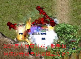2024���Ŵ��濪����������ο����������ȡ��Ʒװ����