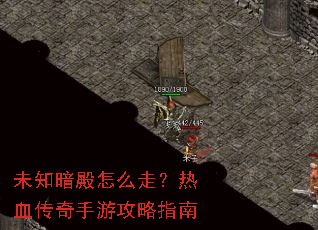 δ֪������ô�ߣ���Ѫ�������ι���ָ��