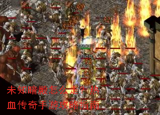 δ֪������ô�ߣ���Ѫ�������ι���ָ��