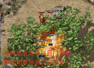 ���泬�����а�����ǧ�������ľ������������