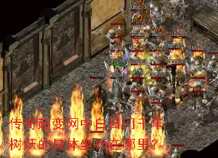 ���泬�����а�����ǧ�������ľ������������