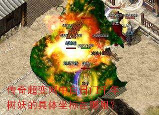 ���泬�����а�����ǧ�������ľ������������