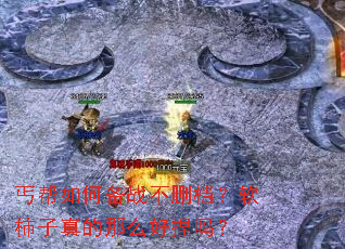 ؤ����α�ս��ɾ���������������ô������