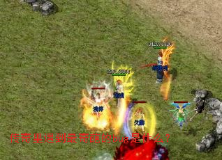 �����������������bug��ʲô��