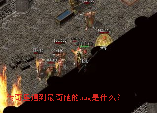 �����������������bug��ʲô��