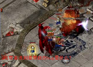 �����������������bug��ʲô��