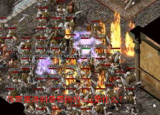 �����������������bug��ʲô��