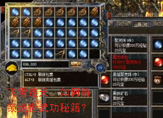 ��ѩ���죬��ν��������书�ؼ���