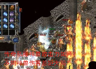 ����˽�����޹�������Σ���ͬ�����˺�������