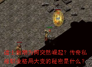 ��ʿ����Ϊ��ͻȻ���𣿴���˽��ְҵ��ִ���������ʲô��