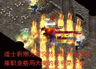 ��ʿ����Ϊ��ͻȻ���𣿴���˽��ְҵ��ִ���������ʲô��