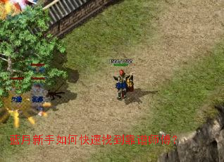 ����������ο����ҵ�����ʦ����