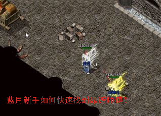 ����������ο����ҵ�����ʦ����