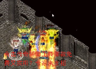 �ϻ����渨�������Ŀ������ʵ�ã�ר����֧��