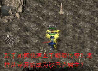 ������ο��������ུ��棿�������㿪ʼ��Ϊɳ�Ϳ˰�����