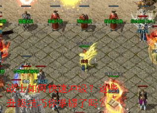 սʿ��ο��ٳ弶����Щ������������������