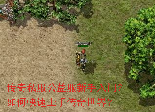 ����˽��������������ţ���ο������ִ������磿