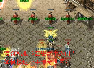 ����˽��������������ţ���ο������ִ������磿