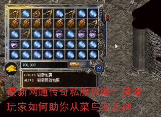 ������ͨ����˽�����ԣ���������������Ӳ�������