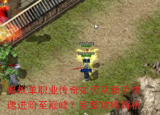 ���ϵ�ְҵ������δ����ֿ��ٽ������۷壿�������Խ���