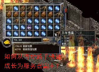 ��δӴ������ֿ��ٳɳ�Ϊ������������