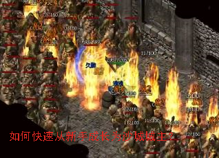 ��ο��ٴ����ֳɳ�Ϊɳ�ǳ�����