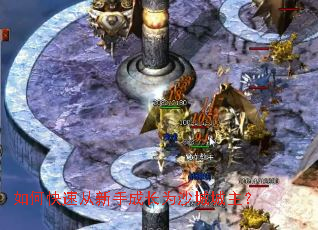 ��ο��ٴ����ֳɳ�Ϊɳ�ǳ�����