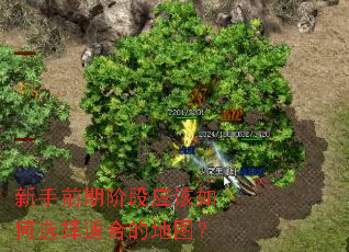 ����ǰ�ڽ׶�Ӧ�����ѡ���ʺϵĵ�ͼ��