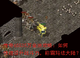 ����65535����͹��ԣ���ο�������ս�������ư��귩��½��