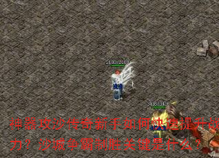 ������ɳ����������ο�������ս����ɳ��������ʤ�ؼ���ʲô��