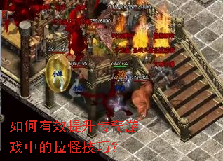 �����Ч����������Ϸ�е����ּ��ɣ�