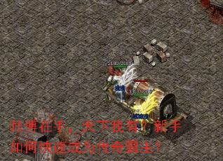 ʦ�����֣��������У�������ο��ٳ�Ϊ���������