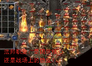 ��ʦְҵ�����ŶӺ��Ļ���ս���ϵĴ�Ƥ��