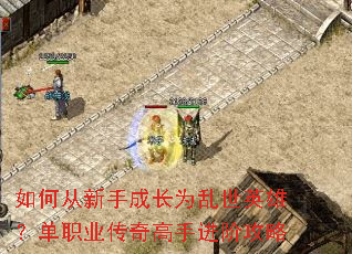 ��δ����ֳɳ�Ϊ����Ӣ�ۣ���ְҵ������ֽ��׹���