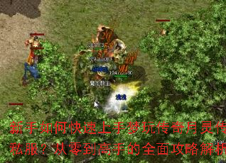 ������ο����������洫�����鴫��˽�������㵽���ֵ�ȫ�湥�Խ���