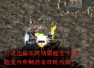 �����������ưԳ��䴫�棿���䴫�泩��ȫ����ָ�ϣ�