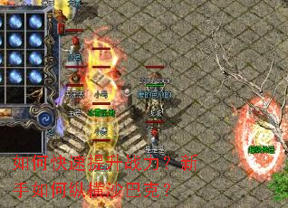 ��ο�������ս������������ݺ�ɳ�Ϳˣ�