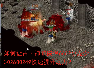 ����ùš��������6662С��Ů302600249��������ս����