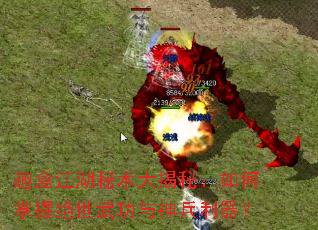 Ȥ�н�����������أ�������վ����书�����������