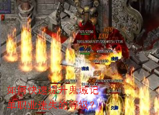 ��ο�����������ǵ�ְҵ��ʧ�ĵȼ���