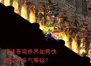 ���Ʋ��������ο������������ȼ���