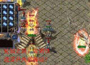 轮回之路:如何快速提升角色等级? 轮回之路:如何快速提升角色等级?