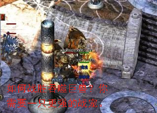 ���սʤ���ɾ��ޣ�����Ҫһֻ��ǿ��ս�衣