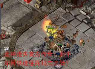 ������ʧ���Ŵ��棺������ο��������귨��½��