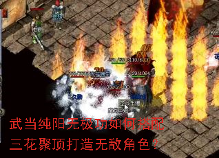 武当纯阳无极功如何搭配三花聚顶打造无敌角色? 武当纯阳无极功如何搭配三花聚顶打造无敌角色?
