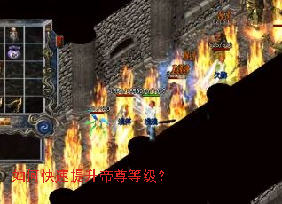 如何快速提升帝尊等级? 如何快速提升帝尊等级?