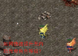 如何快速提升无内功传奇角色等级? 如何快速提升无内功传奇角色等级?