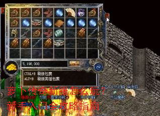 萝卜传奇新服怎么玩?新手入门全攻略指南 萝卜传奇新服怎么玩?新手入门全攻略指南