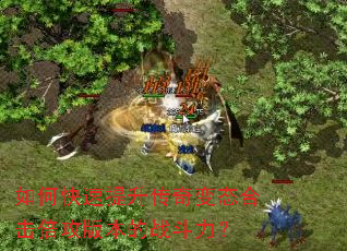 如何快速提升传奇变态合击倍攻版本的战斗力? 如何快速提升传奇变态合击倍攻版本的战斗力?