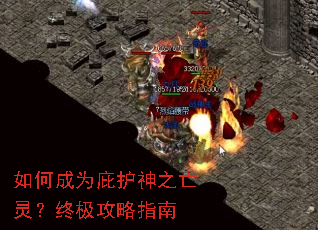 如何成为庇护神之亡灵?终极攻略指南 如何成为庇护神之亡灵?终极攻略指南